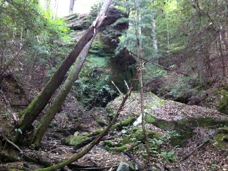 Blue Heron, Big South Fork